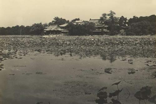 南海湖的莲花和瀛台建筑